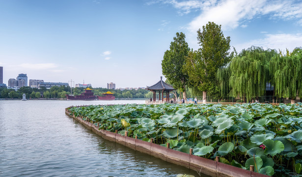 济南园林景观