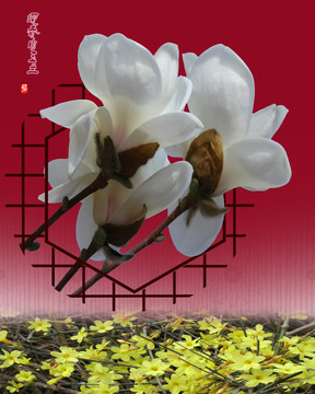 分层边框插花
