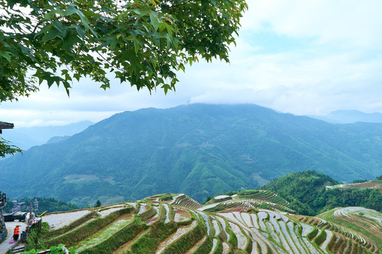 广西地貌风光