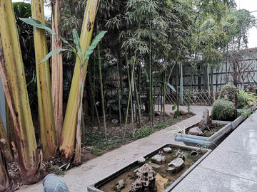 庭院