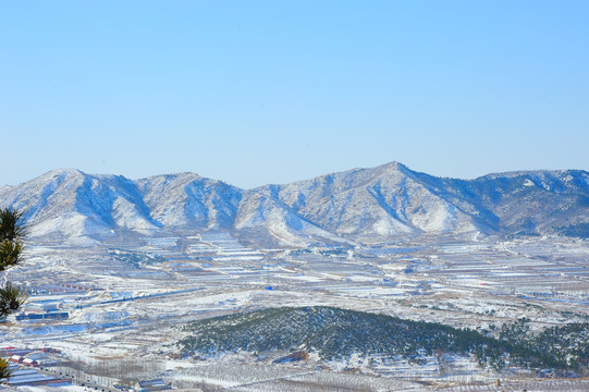 雪后的梯田