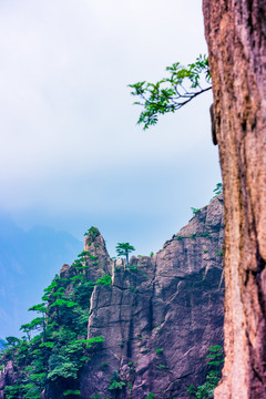 黄山奇石