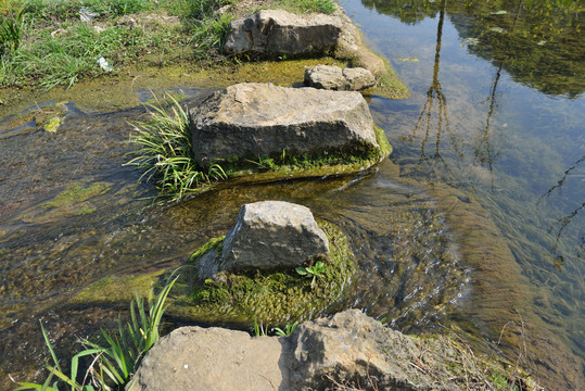 小溪流水