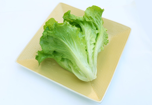 新鲜生菜