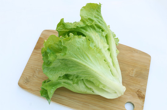 生菜青菜