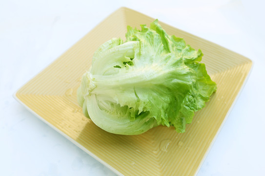 有机生菜