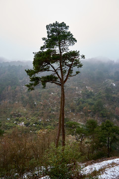 深山雪景