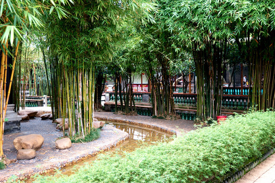 竹子花园