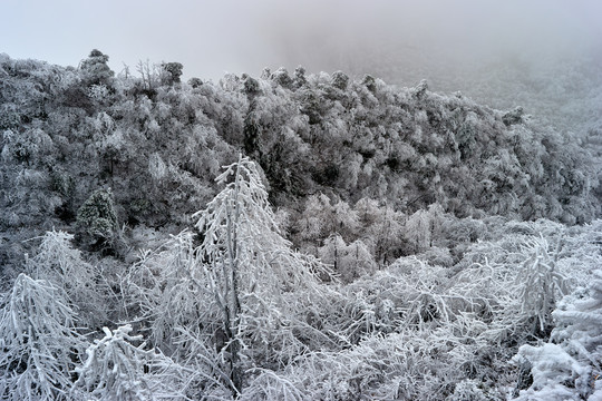 衡山雪景