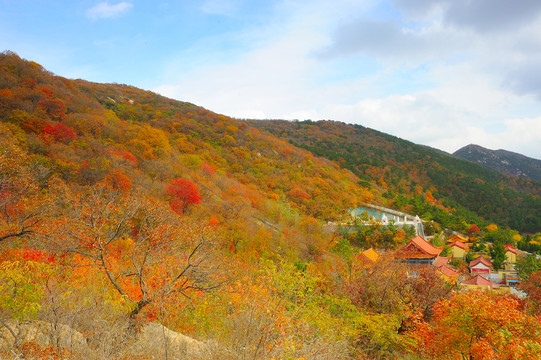 莱州寒同山