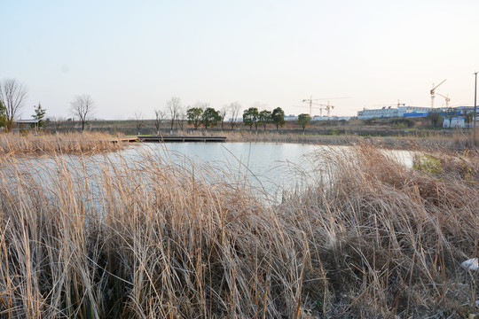 湖泊景观