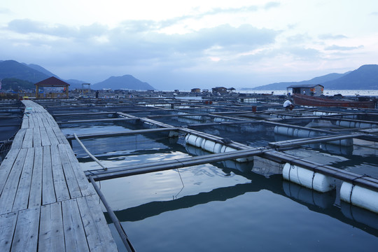 海鱼养殖场