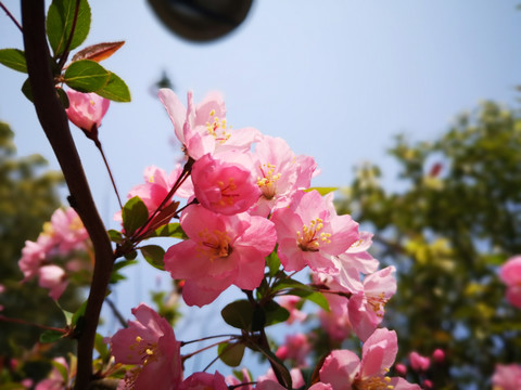 春暖花开