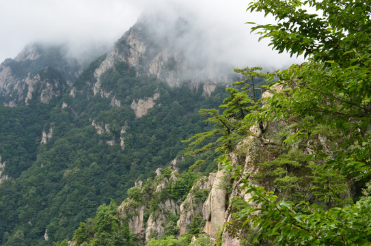 小黄山