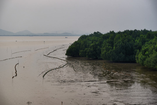 沿海滩涂