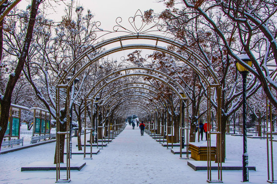 拱形造型门长廊人行路雪景