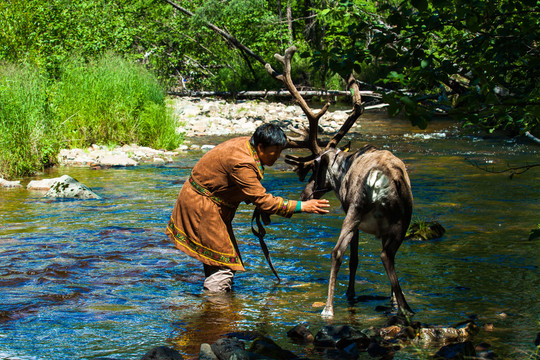 河流中鄂温克人与驯鹿
