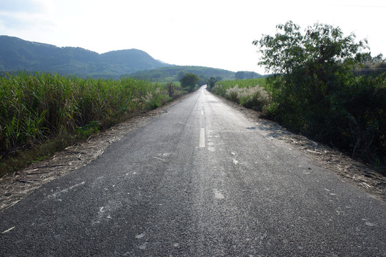 笔直的公路