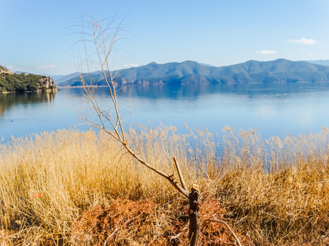 泸沽湖