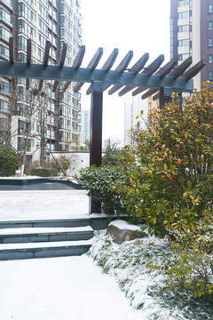 雪