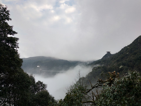 屏山牧场即屏山旅游区