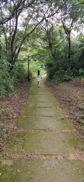 山间小路