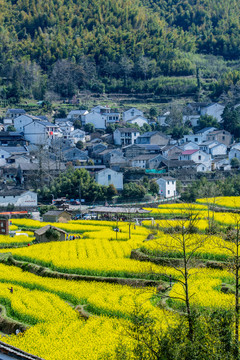 奉化大堰风景