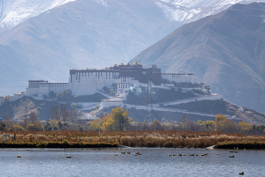 拉鲁湿地