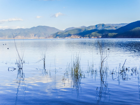 泸沽湖湿地