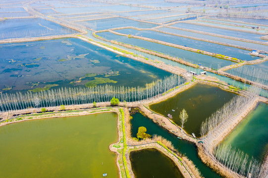 航拍微山湖湿地