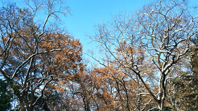 雪后蓝天