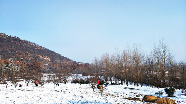 雪后山林