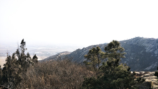 山顶