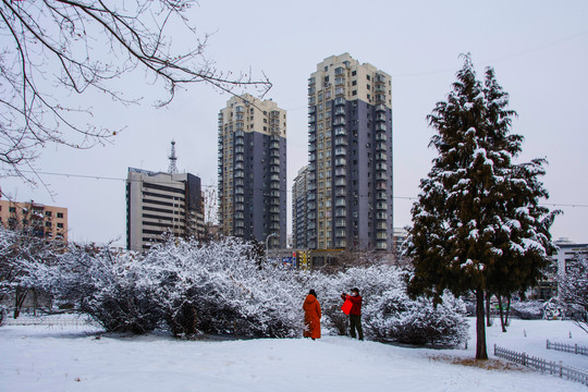 树丛松树雪景与高层住宅建筑