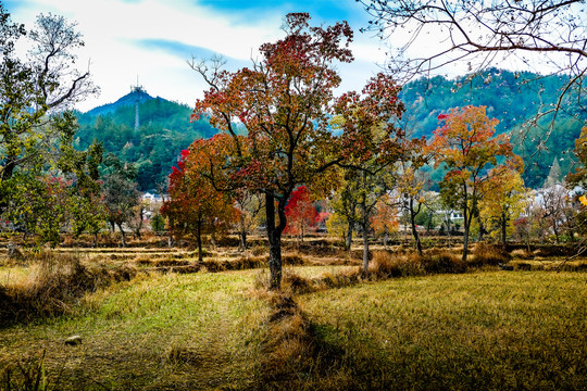 圣人堂秋景