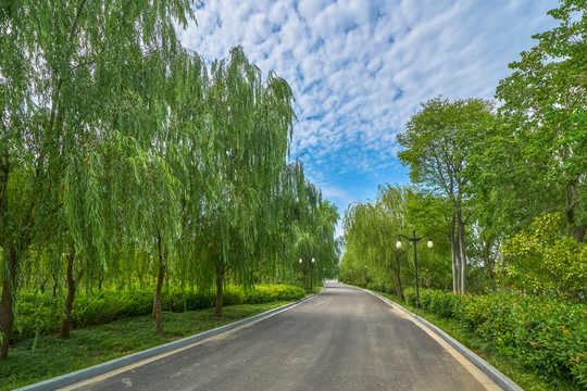 公园道路