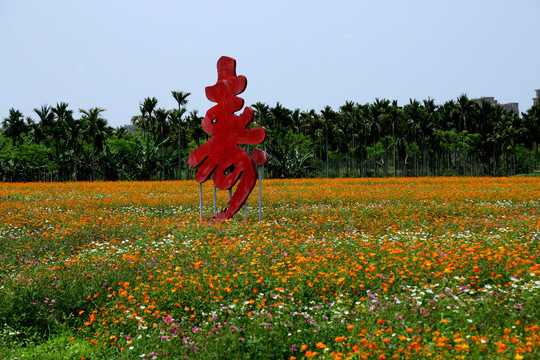 花海波斯菊