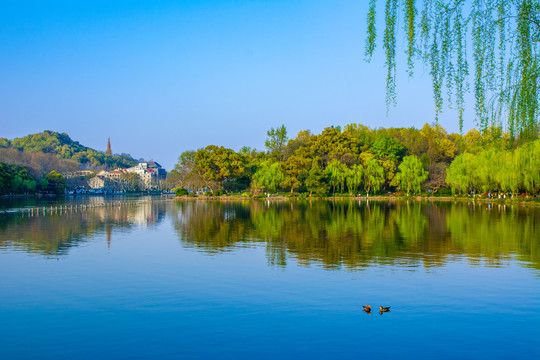 西湖春景