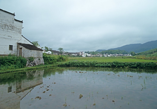 池塘