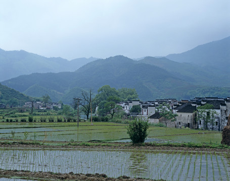 山村