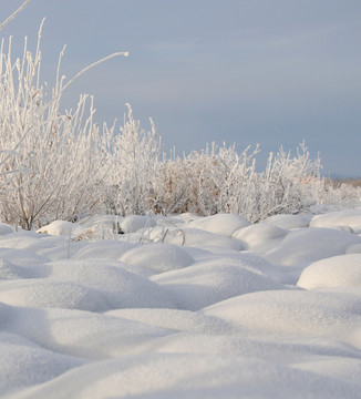 雪景