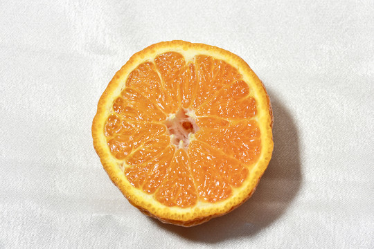 丑橘横切面