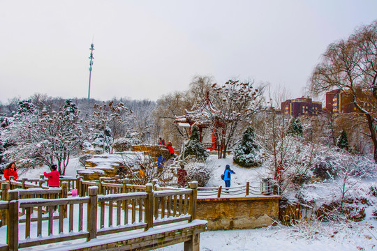 孤岛凉亭折形石桥与树木雪景