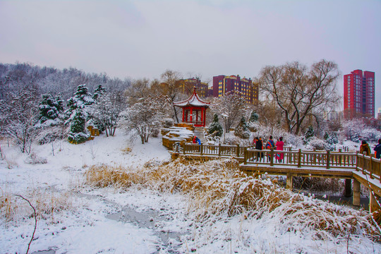 孤岛凉亭折形石桥与住宅雪景