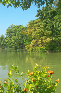 惠州西湖绿化景色