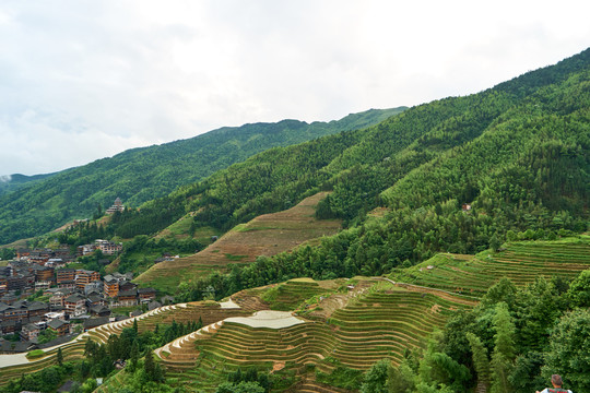 龙胜梯田