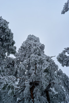 衡山雪景