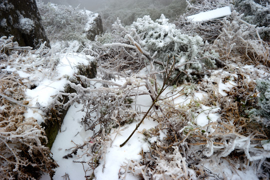 积雪