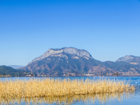 泸沽湖湿地