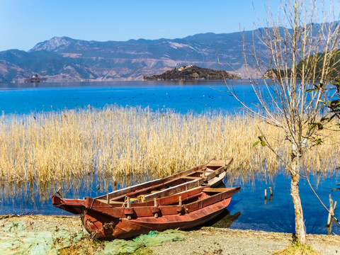 泸沽湖湿地